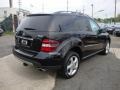 Black - ML 350 4Matic Photo No. 4
