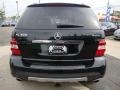 Black - ML 350 4Matic Photo No. 10