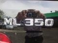 Black - ML 350 4Matic Photo No. 33