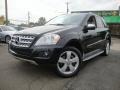 Black - ML 350 4Matic Photo No. 1