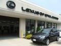 Black Onyx - RX 400h AWD Hybrid Photo No. 1