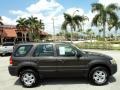 2006 Dark Stone Metallic Ford Escape XLS  photo #5