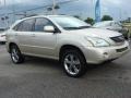 Savannah Metallic - RX 400h AWD Hybrid Photo No. 7