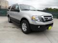 Ingot Silver Metallic 2011 Ford Expedition XL