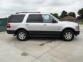 Ingot Silver Metallic - Expedition XL Photo No. 2
