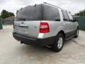 Ingot Silver Metallic - Expedition XL Photo No. 3