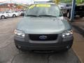 2006 Titanium Green Metallic Ford Escape XLT V6 4WD  photo #3