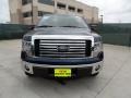 2011 Dark Blue Pearl Metallic Ford F150 Texas Edition SuperCrew  photo #8