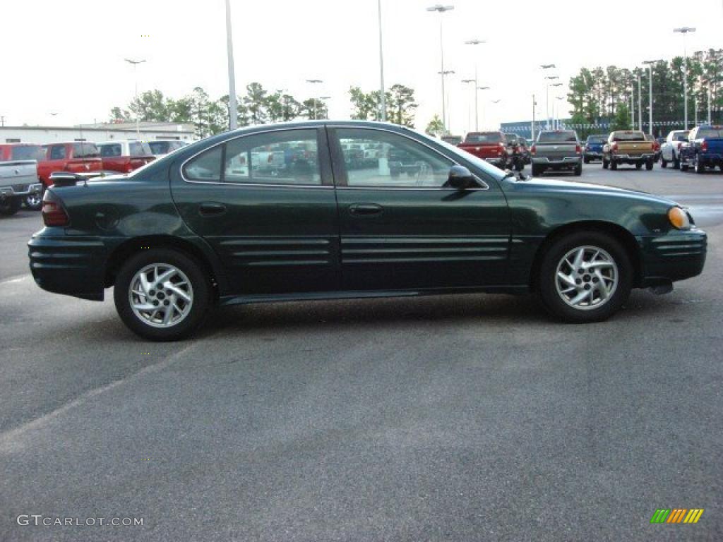 2002 Grand Am SE Sedan - Polo Green Metallic / Dark Pewter photo #4