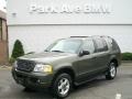 2004 Estate Green Metallic Ford Explorer XLT 4x4  photo #1