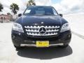 Black - ML 350 Photo No. 2