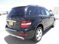 Black - ML 350 Photo No. 4