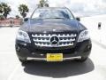 Black - ML 350 Photo No. 2