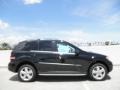Black - ML 350 Photo No. 3
