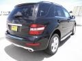 Black - ML 350 Photo No. 4