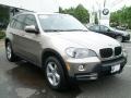 Platinum Bronze Metallic - X5 3.0si Photo No. 3