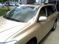 Sandy Beach Metallic - Highlander SE 4WD Photo No. 21