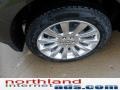 2011 Earth Metallic Lincoln MKX Limited Edition AWD  photo #8