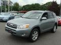 2007 Everglade Metallic Toyota RAV4 Limited 4WD  photo #3