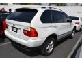 Alpine White - X5 3.0i Photo No. 3