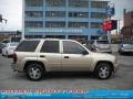 2006 Sandstone Metallic Chevrolet TrailBlazer LS 4x4  photo #1