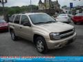 2006 Sandstone Metallic Chevrolet TrailBlazer LS 4x4  photo #18