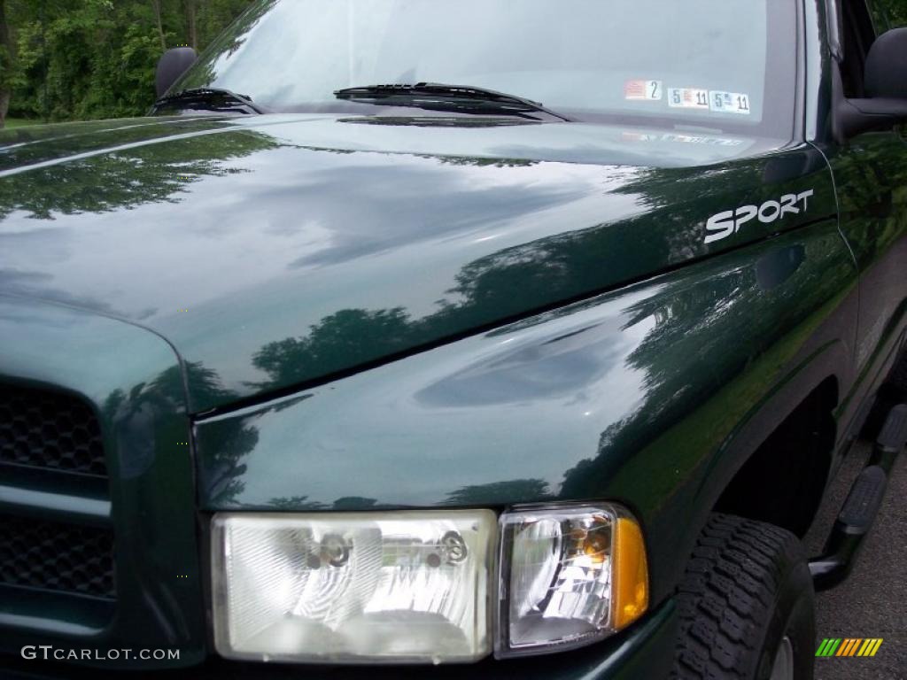 2001 Ram 1500 SLT Club Cab 4x4 - Forest Green Pearl / Agate photo #29