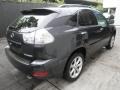 Smokey Granite - RX 350 AWD Photo No. 4