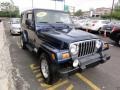 Patriot Blue Pearl - Wrangler Unlimited 4x4 Photo No. 11