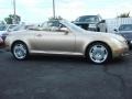 Egyptian Sand Pearl - SC 430 Photo No. 2