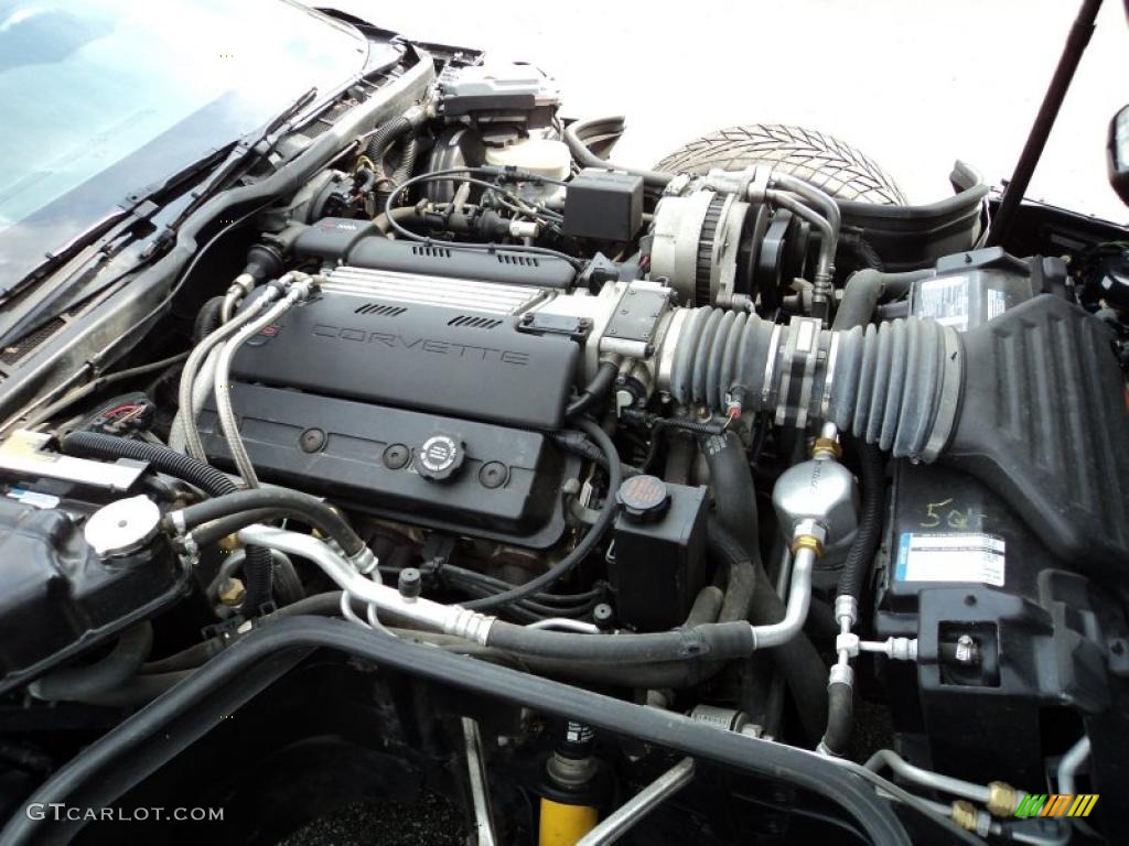 1995 Chevrolet Corvette Convertible 5.7 Liter OHV 16-Valve LT1 V8 Engine Photo #49578595