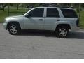 2008 Moondust Metallic Chevrolet TrailBlazer LS 4x4  photo #23