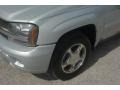 Moondust Metallic - TrailBlazer LS 4x4 Photo No. 25