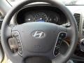 Gray Steering Wheel Photo for 2011 Hyundai Santa Fe #49580533