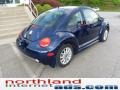 2004 Galactic Blue Metallic Volkswagen New Beetle GLS Coupe  photo #7