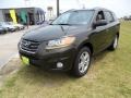 2011 Espresso Brown Hyundai Santa Fe Limited  photo #7