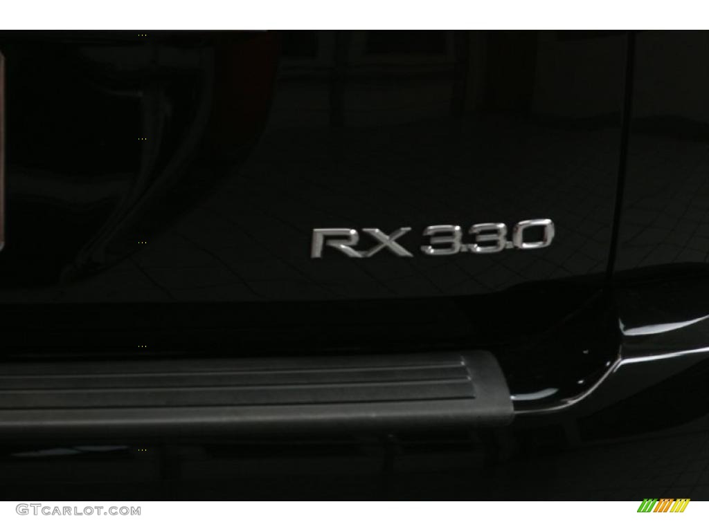 2006 RX 330 - Black Onyx / Light Gray photo #16