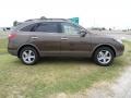 Sahara Bronze Metallic - Veracruz Limited Photo No. 2