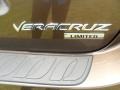 Sahara Bronze Metallic - Veracruz Limited Photo No. 16