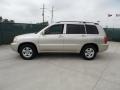 Vintage Gold Metallic - Highlander I4 Photo No. 6