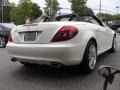 Arctic White 2009 Mercedes-Benz SLK 300 Roadster Exterior