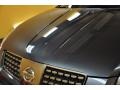 Smoke Metallic - Maxima 3.5 SE Photo No. 23