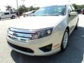 2010 Smokestone Metallic Ford Fusion SEL V6  photo #14