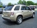 2005 Sandstone Metallic Chevrolet Equinox LS  photo #6