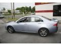 Meteor Silver Metallic - TSX Sedan Photo No. 10