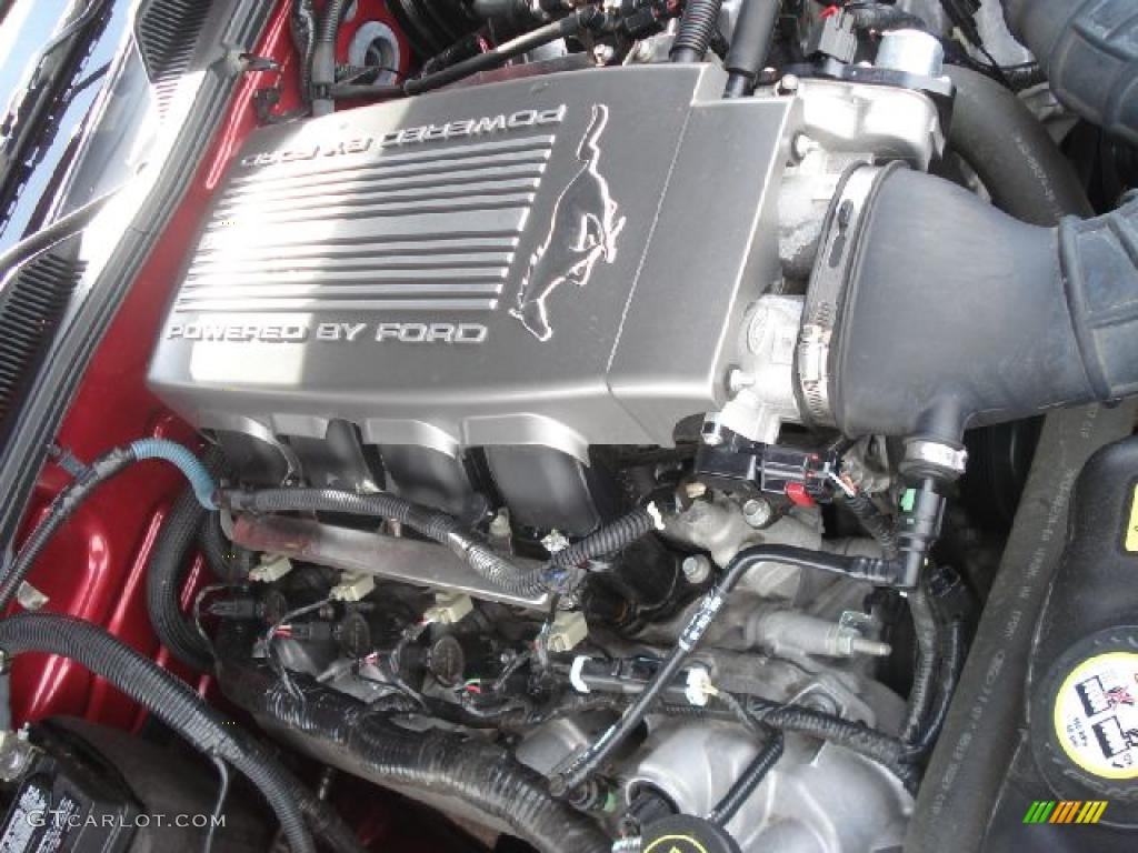 2007 Ford Mustang GT/CS California Special Coupe 4.6 Liter SOHC 24-Valve VVT V8 Engine Photo #49606792