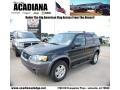 2006 Black Ford Escape XLT V6  photo #1