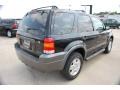 2006 Black Ford Escape XLT V6  photo #5