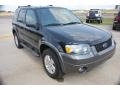 2006 Black Ford Escape XLT V6  photo #7
