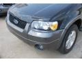2006 Black Ford Escape XLT V6  photo #9